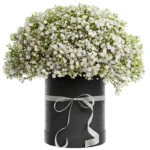 Цветы в коробке Жемчужина дуная