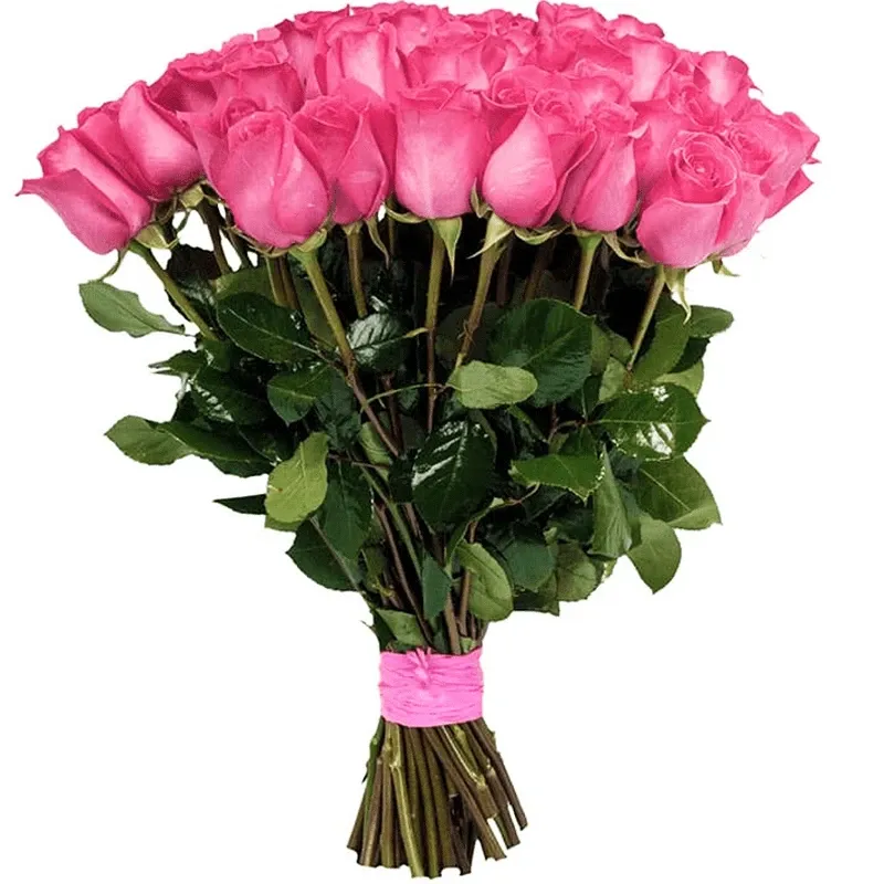 Розы Голландия розовые