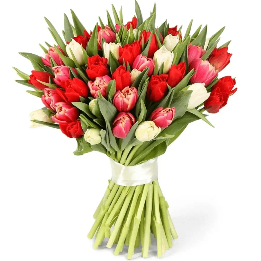 Тюльпаны микс